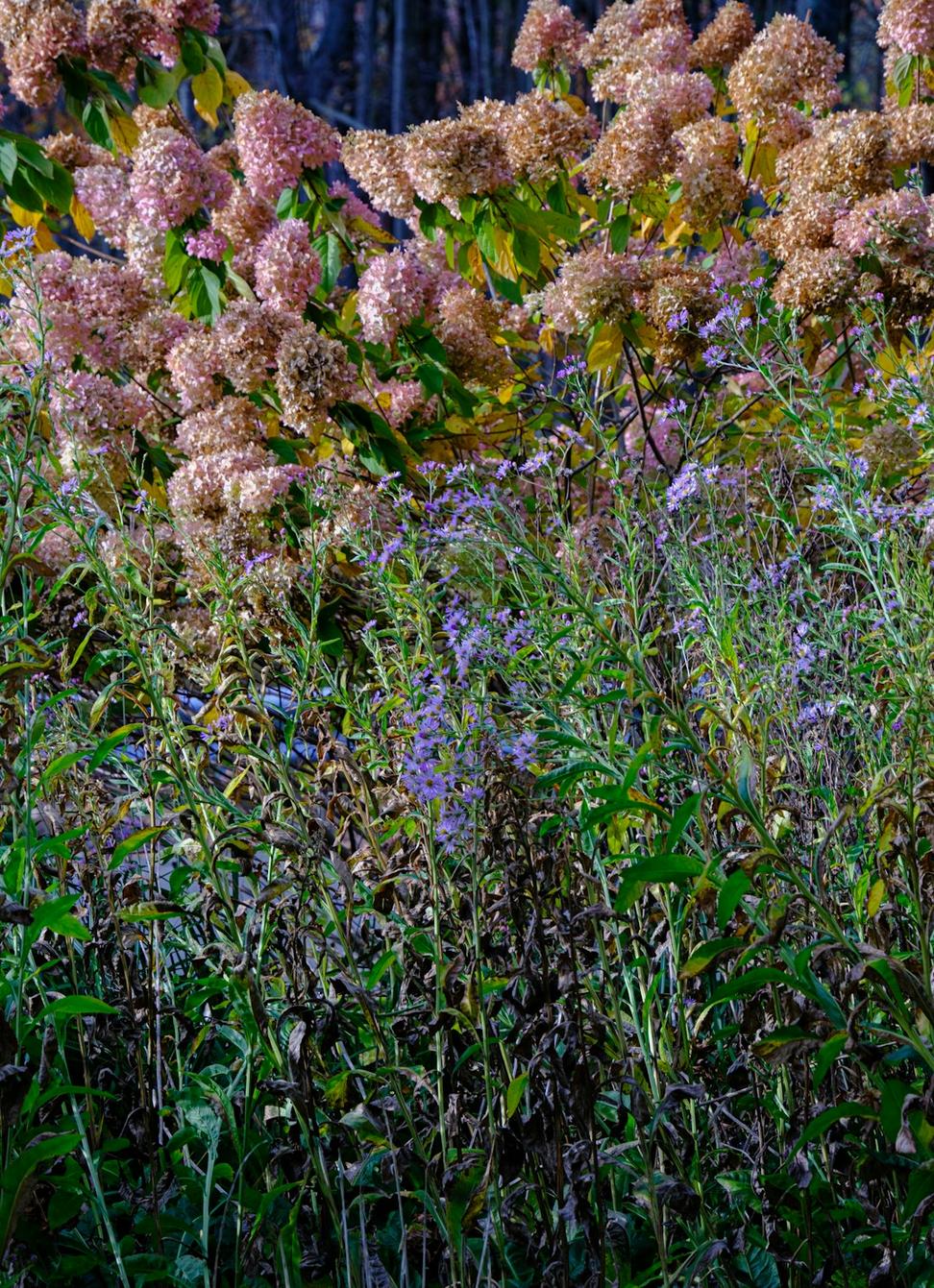 Seasonal arrangements