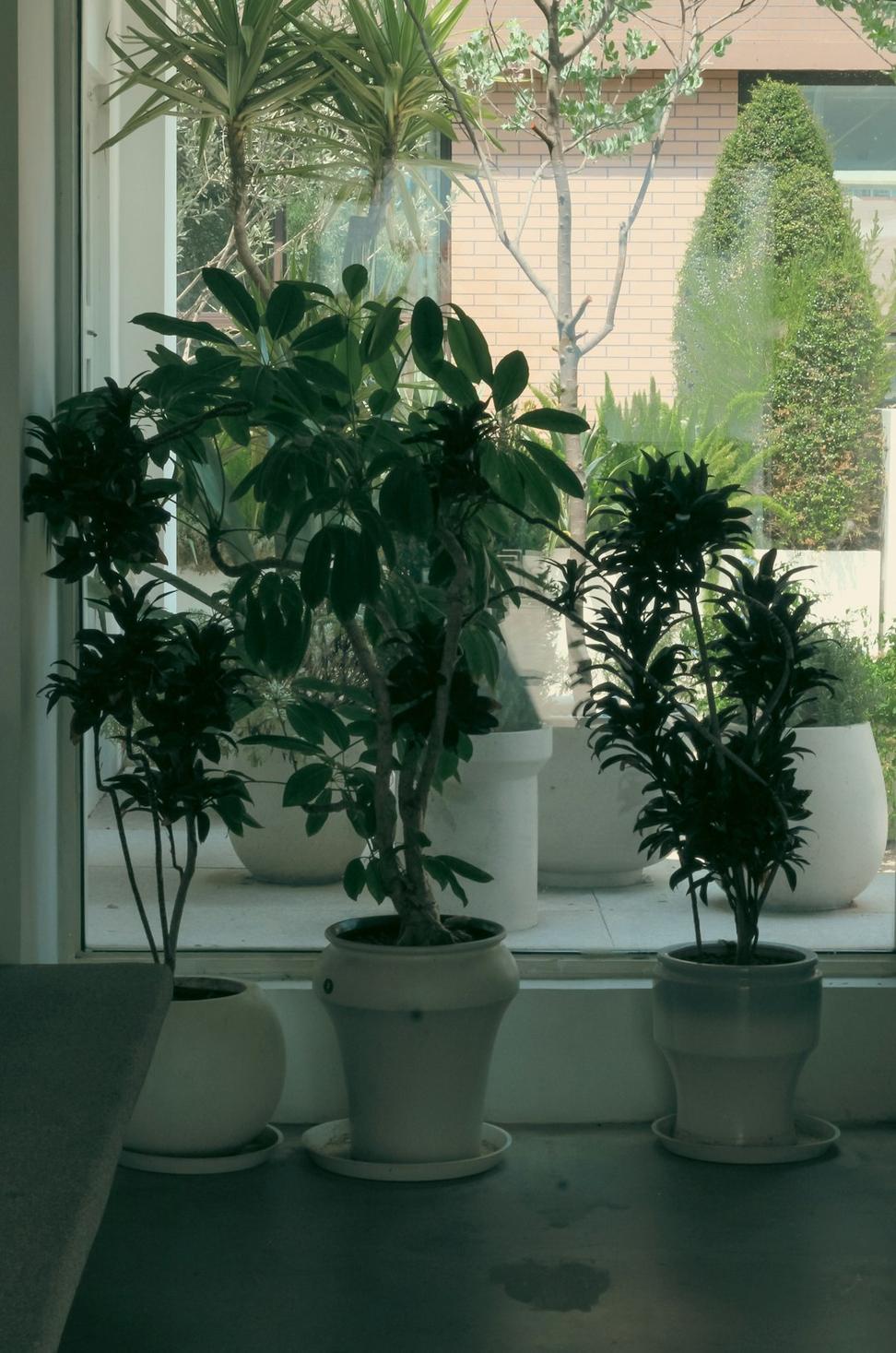 Corporate arrangements